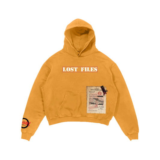 Lost Files Hoodie (Orange)